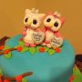 Babies are a Hoot! Baby Shower Cake